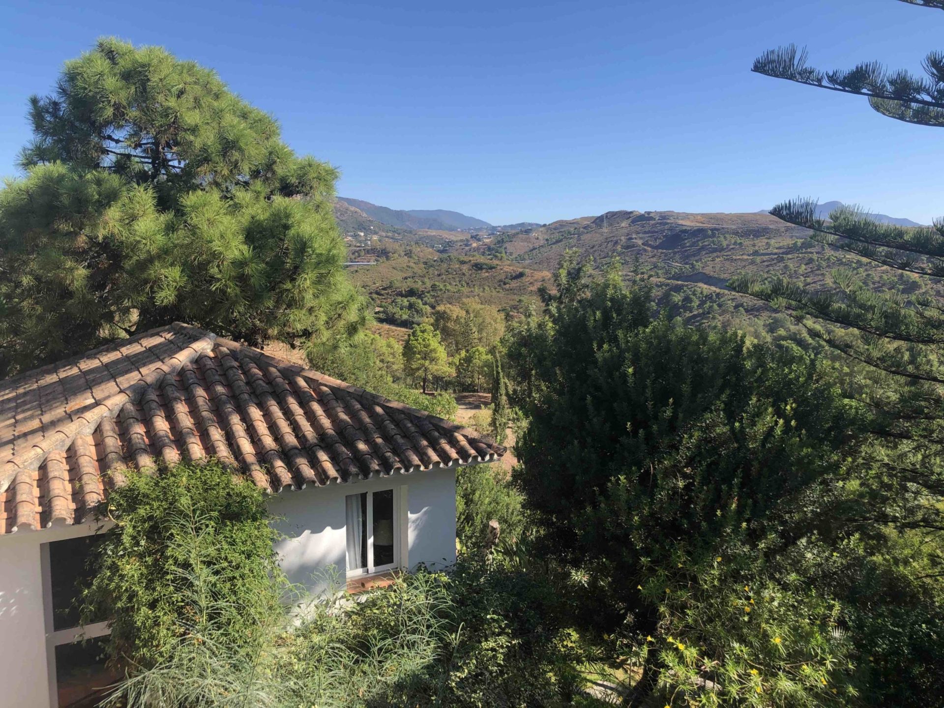 casita 2 IMG_5204