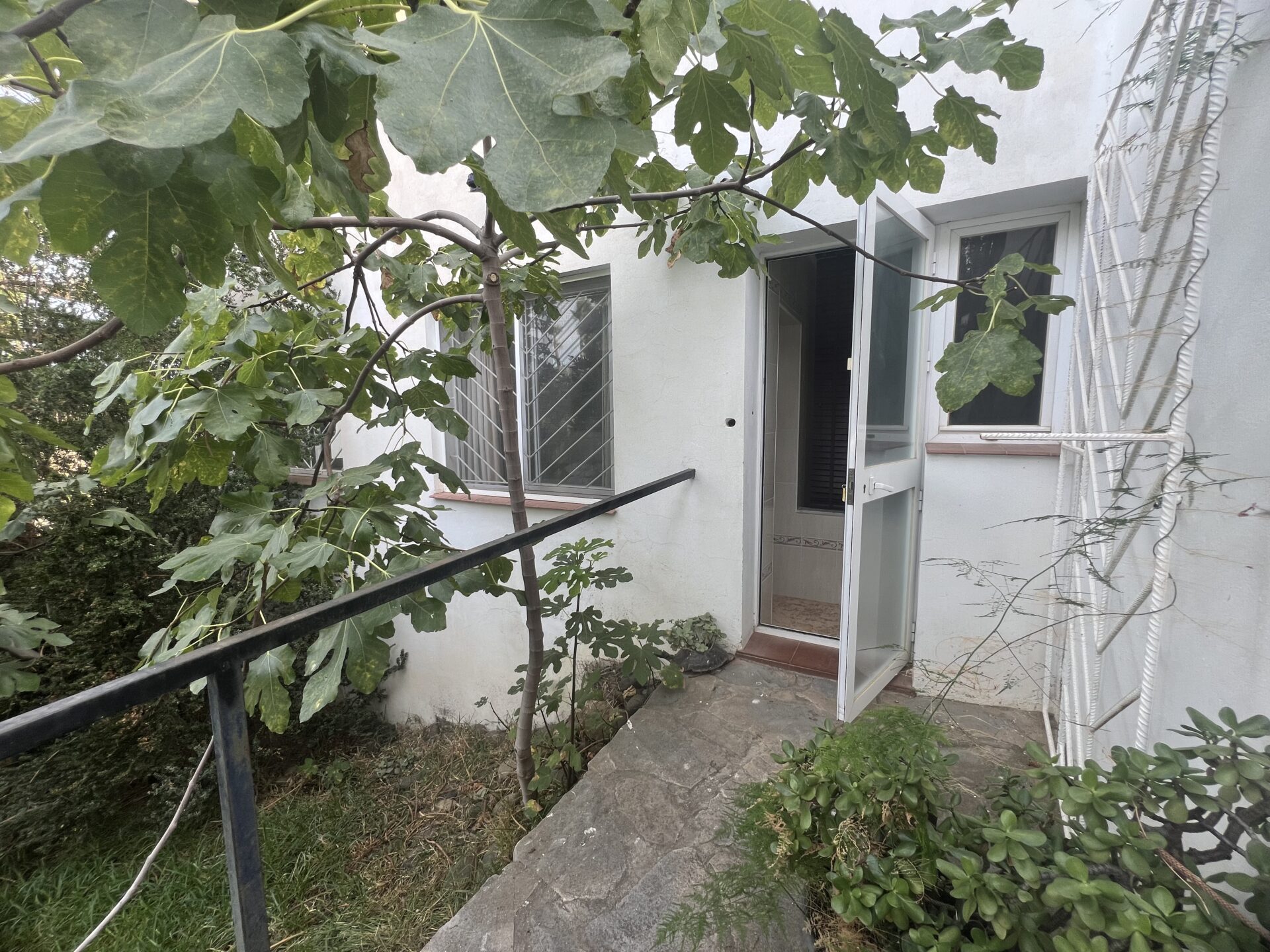 Casa Simba 1029